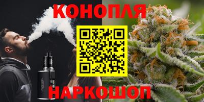 гидра Заволжье