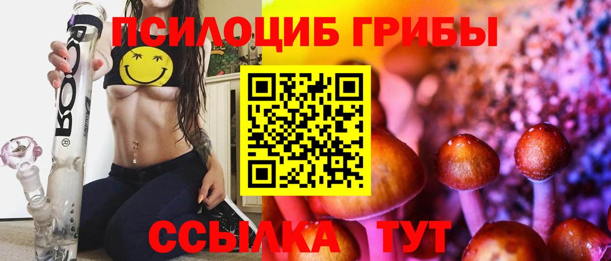 Псилоцибиновые грибы Cubensis Людиново